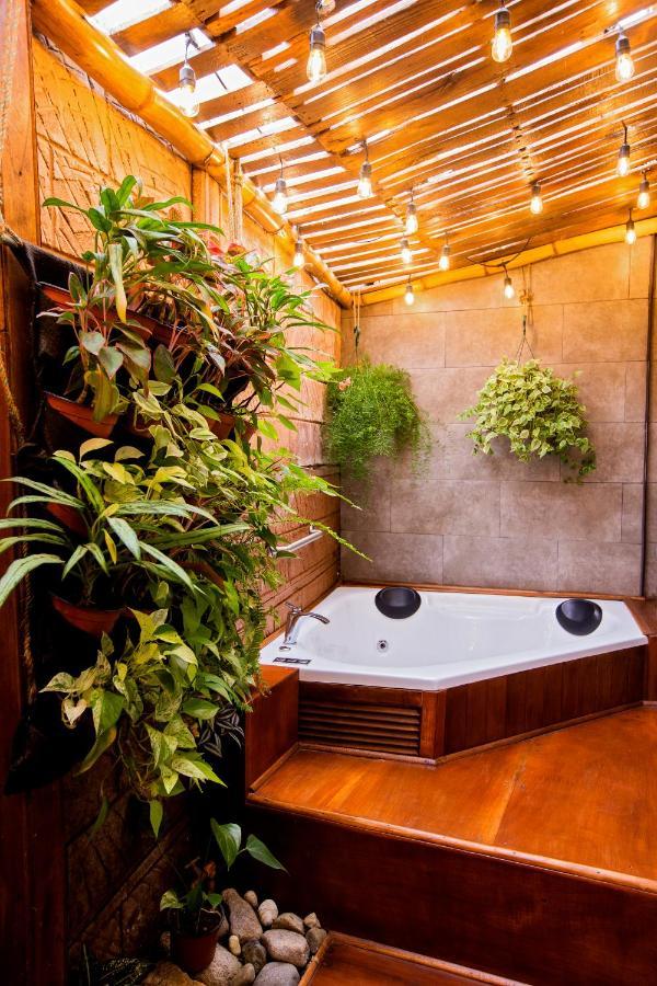 Casa Suculenta ,Monteverde Con Jacuzzi Privado Y Lavanderia Экстерьер фото
